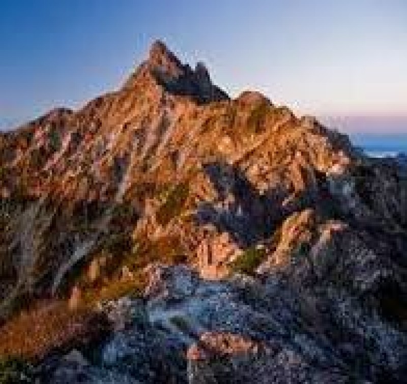 田中ファンド１号